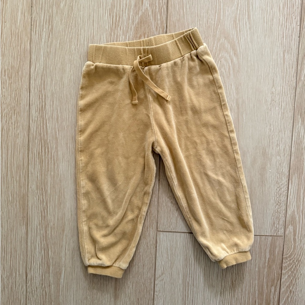 Quincy Mae Velour Jogger Pants, 4yrs